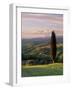 Cypress Tree and Countryside Near Val D'Asso, Tuscany, Italy, Europe-Patrick Dieudonne-Framed Photographic Print