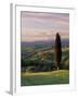 Cypress Tree and Countryside Near Val D'Asso, Tuscany, Italy, Europe-Patrick Dieudonne-Framed Photographic Print