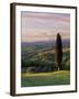 Cypress Tree and Countryside Near Val D'Asso, Tuscany, Italy, Europe-Patrick Dieudonne-Framed Photographic Print