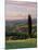 Cypress Tree and Countryside Near Val D'Asso, Tuscany, Italy, Europe-Patrick Dieudonne-Mounted Photographic Print