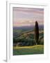 Cypress Tree and Countryside Near Val D'Asso, Tuscany, Italy, Europe-Patrick Dieudonne-Framed Photographic Print