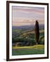 Cypress Tree and Countryside Near Val D'Asso, Tuscany, Italy, Europe-Patrick Dieudonne-Framed Photographic Print