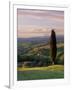 Cypress Tree and Countryside Near Val D'Asso, Tuscany, Italy, Europe-Patrick Dieudonne-Framed Photographic Print