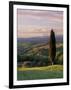 Cypress Tree and Countryside Near Val D'Asso, Tuscany, Italy, Europe-Patrick Dieudonne-Framed Photographic Print