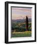 Cypress Tree and Countryside Near Val D'Asso, Tuscany, Italy, Europe-Patrick Dieudonne-Framed Photographic Print