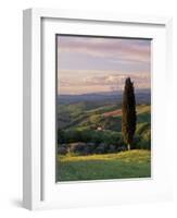 Cypress Tree and Countryside Near Val D'Asso, Tuscany, Italy, Europe-Patrick Dieudonne-Framed Photographic Print