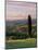 Cypress Tree and Countryside Near Val D'Asso, Tuscany, Italy, Europe-Patrick Dieudonne-Mounted Photographic Print