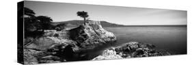 Cypress Tree at the Coast, the Lone Cypress, 17 Mile Drive, Carmel, California, USA-null-Stretched Canvas