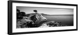 Cypress Tree at the Coast, the Lone Cypress, 17 Mile Drive, Carmel, California, USA-null-Framed Premium Photographic Print