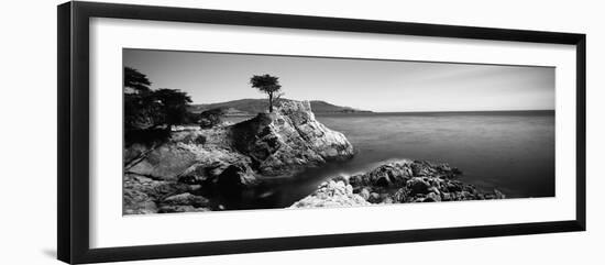 Cypress Tree at the Coast, the Lone Cypress, 17 Mile Drive, Carmel, California, USA-null-Framed Photographic Print