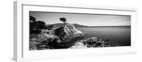 Cypress Tree at the Coast, the Lone Cypress, 17 Mile Drive, Carmel, California, USA-null-Framed Photographic Print