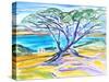 Cypress Tree, Carmel, 2019, (watercolor on paper)-Richard Fox-Stretched Canvas