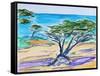 Cypress Tree, Carmel Bay, 2019, (watercolor on paper)-Richard Fox-Framed Stretched Canvas