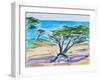 Cypress Tree, Carmel Bay, 2019, (watercolor on paper)-Richard Fox-Framed Giclee Print