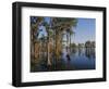 Cypress Trees Along Banks Lake-James Randklev-Framed Photographic Print