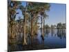 Cypress Trees Along Banks Lake-James Randklev-Mounted Photographic Print