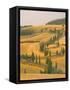 Cypress Trees Along Rural Road Near Pienza, Val D'Orica, Siena Province, Tuscany, Italy, Europe-Sergio Pitamitz-Framed Stretched Canvas