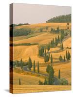 Cypress Trees Along Rural Road Near Pienza, Val D'Orica, Siena Province, Tuscany, Italy, Europe-Sergio Pitamitz-Stretched Canvas