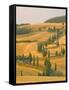 Cypress Trees Along Rural Road Near Pienza, Val D'Orica, Siena Province, Tuscany, Italy, Europe-Sergio Pitamitz-Framed Stretched Canvas