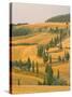 Cypress Trees Along Rural Road Near Pienza, Val D'Orica, Siena Province, Tuscany, Italy, Europe-Sergio Pitamitz-Stretched Canvas
