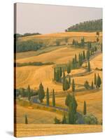 Cypress Trees Along Rural Road Near Pienza, Val D'Orica, Siena Province, Tuscany, Italy, Europe-Sergio Pitamitz-Stretched Canvas