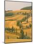 Cypress Trees Along Rural Road Near Pienza, Val D'Orica, Siena Province, Tuscany, Italy, Europe-Sergio Pitamitz-Mounted Photographic Print