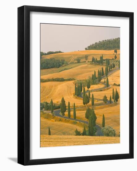 Cypress Trees Along Rural Road Near Pienza, Val D'Orica, Siena Province, Tuscany, Italy, Europe-Sergio Pitamitz-Framed Photographic Print