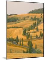 Cypress Trees Along Rural Road Near Pienza, Val D'Orica, Siena Province, Tuscany, Italy, Europe-Sergio Pitamitz-Mounted Photographic Print