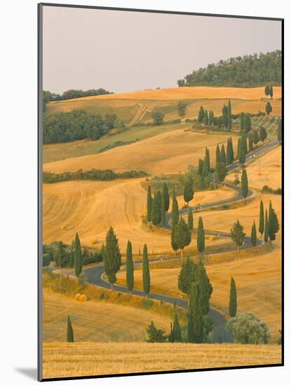 Cypress Trees Along Rural Road Near Pienza, Val D'Orica, Siena Province, Tuscany, Italy, Europe-Sergio Pitamitz-Mounted Photographic Print