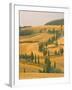 Cypress Trees Along Rural Road Near Pienza, Val D'Orica, Siena Province, Tuscany, Italy, Europe-Sergio Pitamitz-Framed Photographic Print