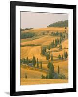 Cypress Trees Along Rural Road Near Pienza, Val D'Orica, Siena Province, Tuscany, Italy, Europe-Sergio Pitamitz-Framed Photographic Print