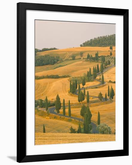 Cypress Trees Along Rural Road Near Pienza, Val D'Orica, Siena Province, Tuscany, Italy, Europe-Sergio Pitamitz-Framed Photographic Print