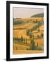 Cypress Trees Along Rural Road Near Pienza, Val D'Orica, Siena Province, Tuscany, Italy, Europe-Sergio Pitamitz-Framed Photographic Print