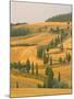 Cypress Trees Along Rural Road Near Pienza, Val D'Orica, Siena Province, Tuscany, Italy, Europe-Sergio Pitamitz-Mounted Photographic Print