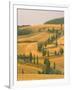 Cypress Trees Along Rural Road Near Pienza, Val D'Orica, Siena Province, Tuscany, Italy, Europe-Sergio Pitamitz-Framed Photographic Print