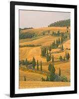 Cypress Trees Along Rural Road Near Pienza, Val D'Orica, Siena Province, Tuscany, Italy, Europe-Sergio Pitamitz-Framed Photographic Print