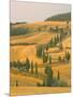 Cypress Trees Along Rural Road Near Pienza, Val D'Orica, Siena Province, Tuscany, Italy, Europe-Sergio Pitamitz-Mounted Photographic Print