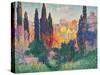 Cypress Trees at Cagnes-Henri Edmond Cross-Stretched Canvas