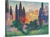 Cypress Trees at Cagnes-null-Stretched Canvas