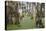 Cypress trees draped in Spanish moss, Circle B Ranch, Polk County, Florida-Adam Jones-Stretched Canvas