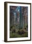 Cypress Trees In Heron Pond-Steve Gadomski-Framed Photographic Print