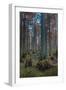 Cypress Trees In Heron Pond-Steve Gadomski-Framed Photographic Print