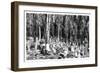 Cypress Trees in the Cemetery of Scutari, Turkey, 1895-null-Framed Giclee Print