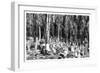 Cypress Trees in the Cemetery of Scutari, Turkey, 1895-null-Framed Giclee Print