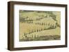 Cypress Trees Line a Winding Road in the Val D'Orcia, Tuscany, Italy, Europe-Julian Elliott-Framed Photographic Print