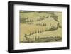 Cypress Trees Line a Winding Road in the Val D'Orcia, Tuscany, Italy, Europe-Julian Elliott-Framed Photographic Print