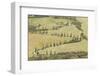 Cypress Trees Line a Winding Road in the Val D'Orcia, Tuscany, Italy, Europe-Julian Elliott-Framed Photographic Print