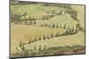 Cypress Trees Line a Winding Road in the Val D'Orcia, Tuscany, Italy, Europe-Julian Elliott-Mounted Photographic Print