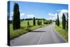 Cypress Trees Line Country Road, Chianti Region, Tuscany, Italy, Europe-Peter Groenendijk-Stretched Canvas