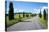 Cypress Trees Line Country Road, Chianti Region, Tuscany, Italy, Europe-Peter Groenendijk-Stretched Canvas